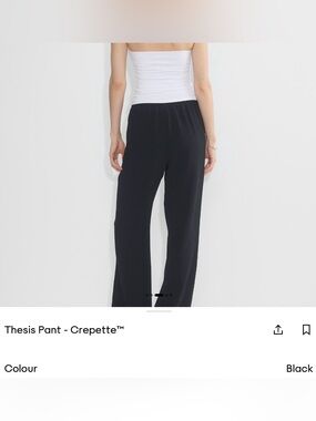 Aritzia Wilfred Thesis Crepett Wide-Leg Pants in Black XL